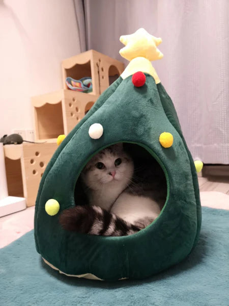 cat inside christmas cat bed