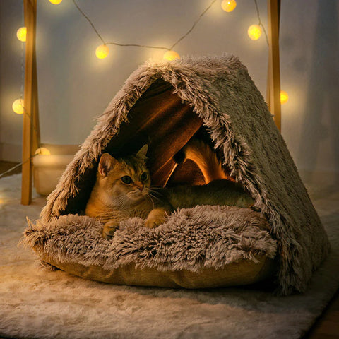 semi enclosed cat tent bed that looks like a camping tent