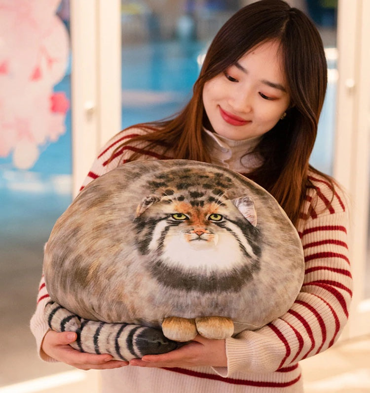 a lady holding a chubby cat plushie and smiling happily because it looks so hilarious