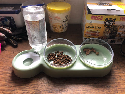 cat feeding dishes with water dispenser