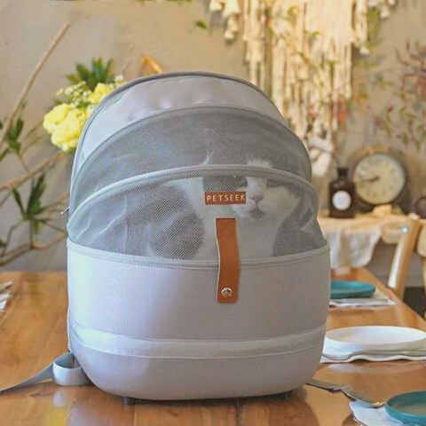 stylish and cute cat carrier for cat mom