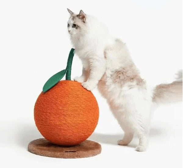 orange cute cat scratching post