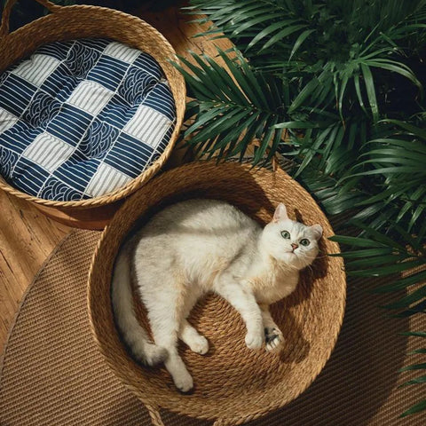 japanese style round cat beds with japanese print cushion in blue