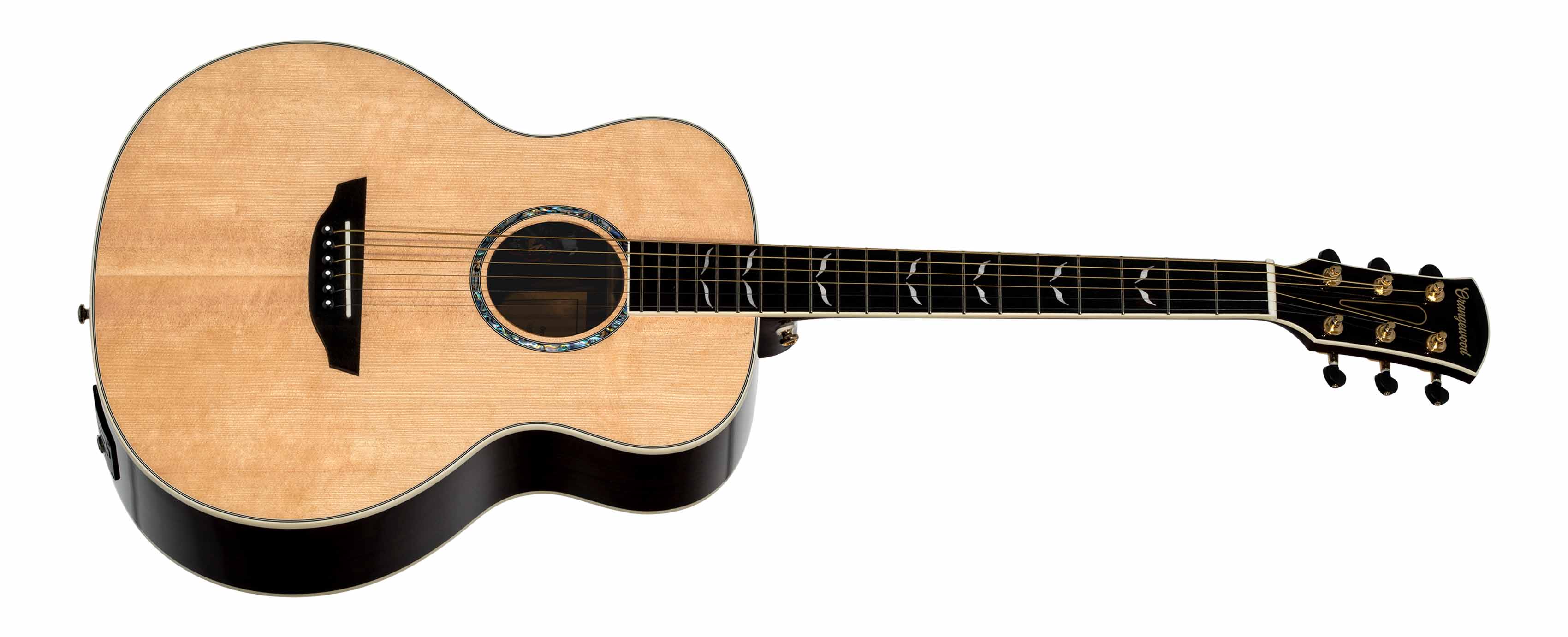 Product Photo of Brooklyn Jr. Live guitar