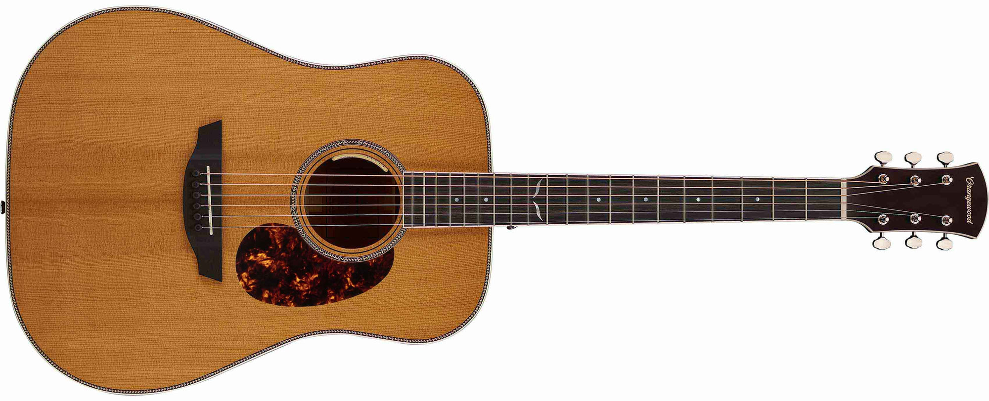 Sage Live, All Solid Cutaway Acoustic Guitar