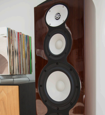 Revel speakers Midrange image