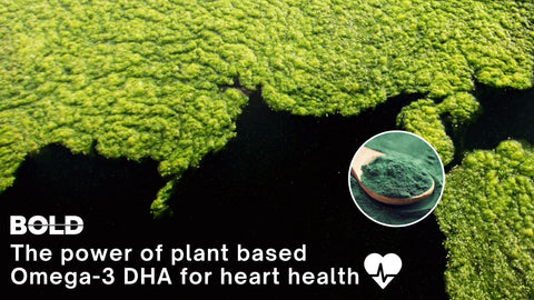 Plant based omega-3 header image