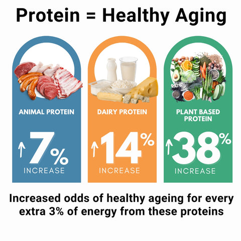 Plant based protein benefits