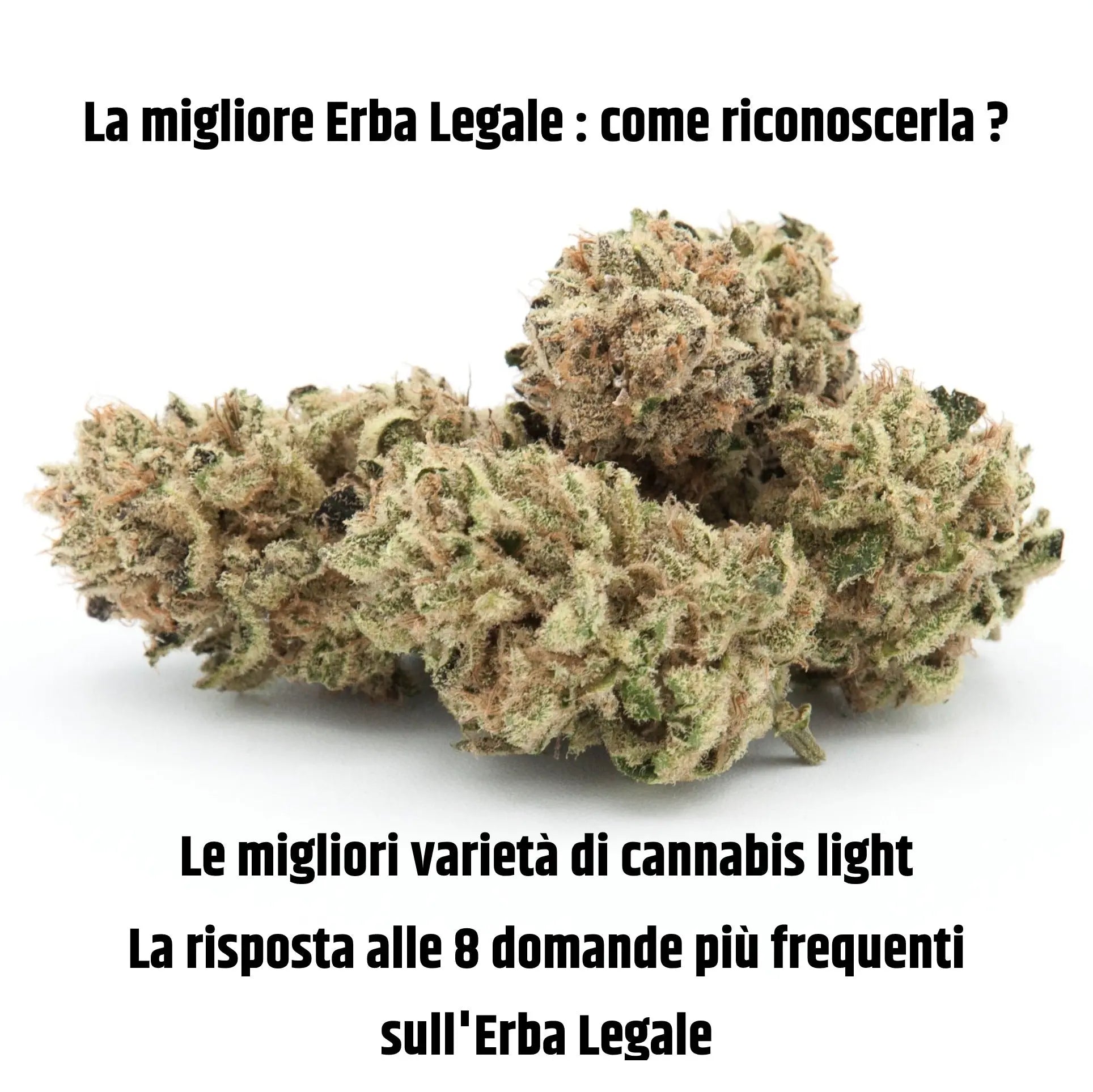 Fumare Erba: è Legale? Cosa Prevede La Legge Italiana?