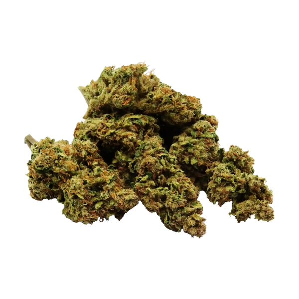 infiorescenze di cannabis legale purple lemon haze trimmate