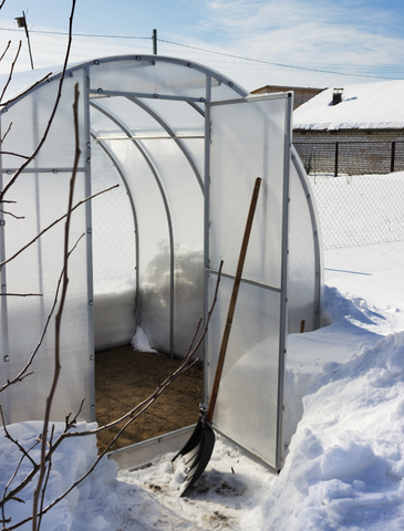 Growing plants in winter