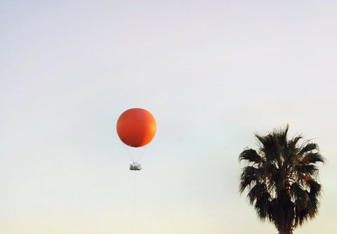 OC Ballon ride picture in the sky with palm trees