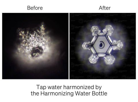 tap water harmonized by the harmonizing water bottle