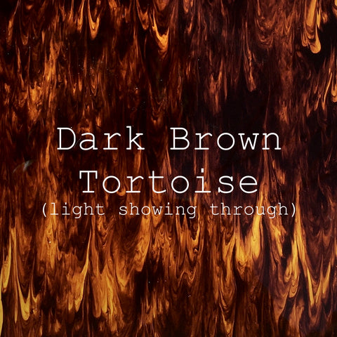 Dark Brown Tortoise
