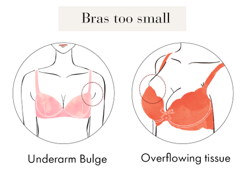 Beginners' Guide to Bradelis