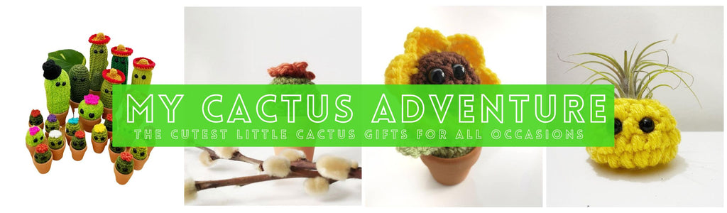 my-cactus-adventure