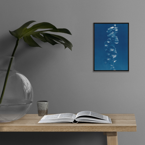cyanotype art