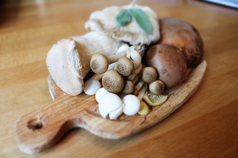 Mushrooms for Skincare