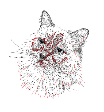 Cat Pet Portrait - Custom Commissions - Bamber Prints