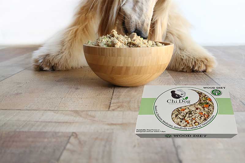 healthier dog food