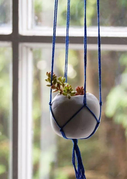 DIY hanging plants