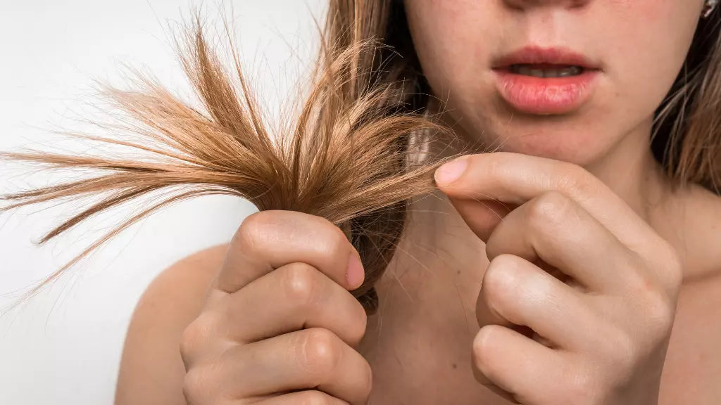 pointes de cheveux abîmés