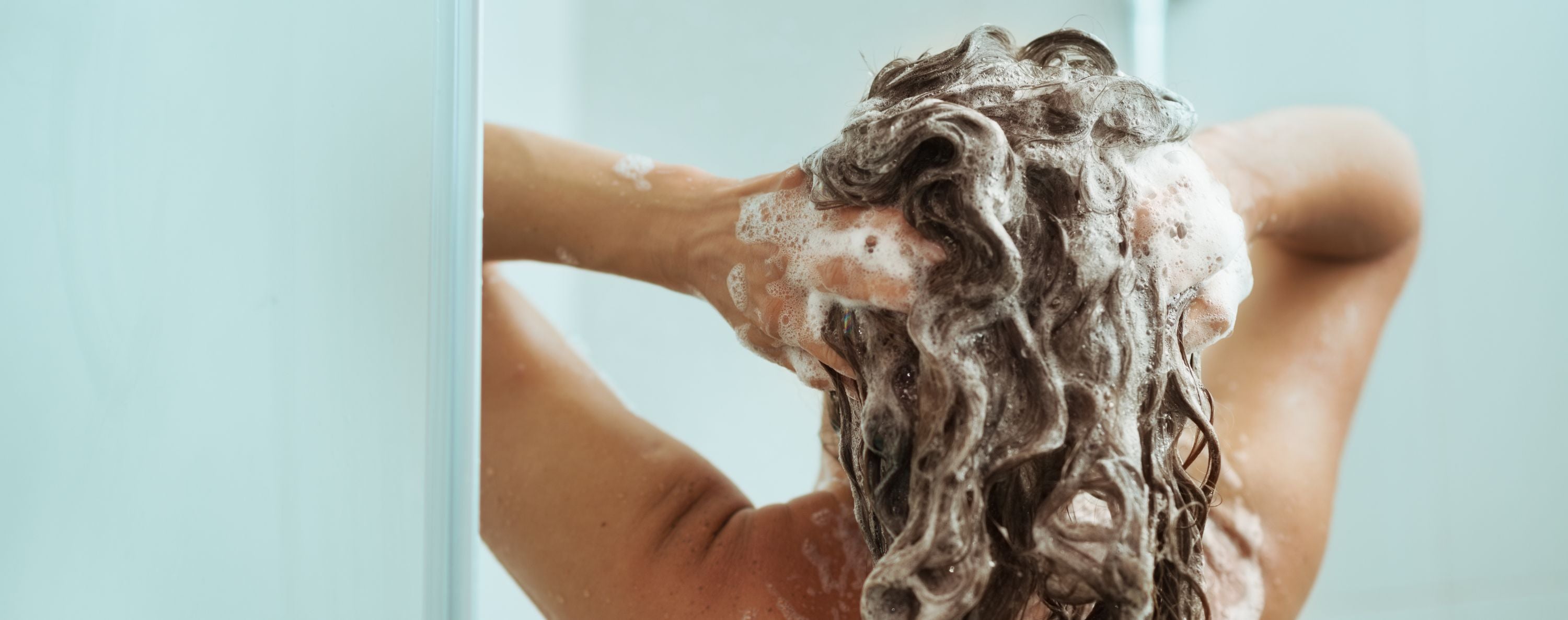 shampoing naturel