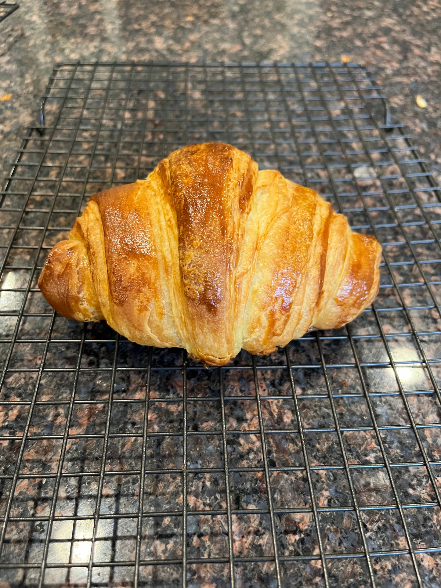 Croissants [Sunday] – kareemsbakery