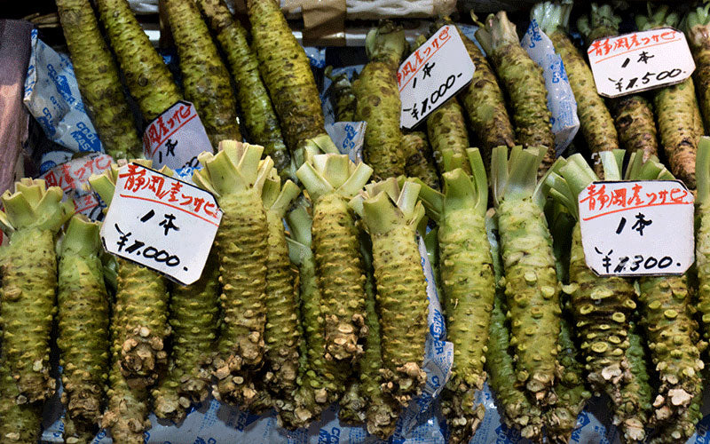 Wasabi roots