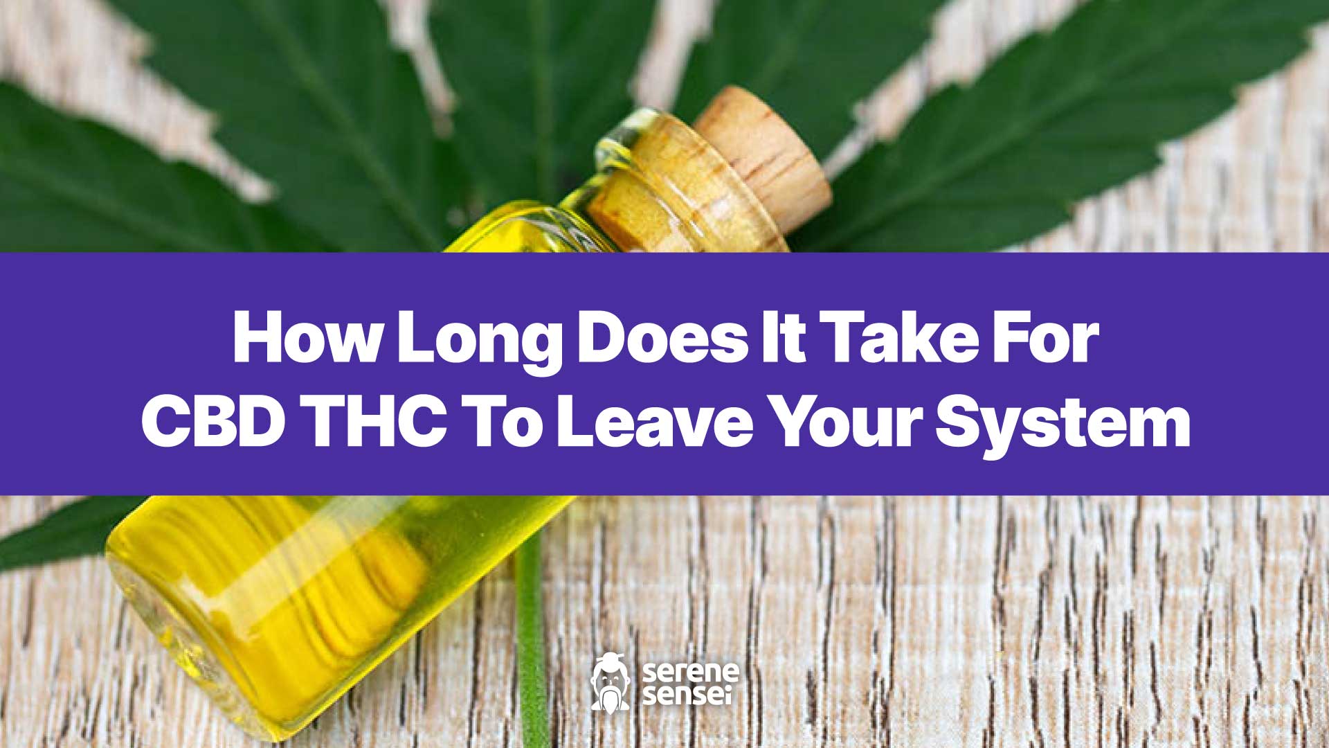 How Long Does It Take for CBD THC to Leave Your System? – Serene Sensei