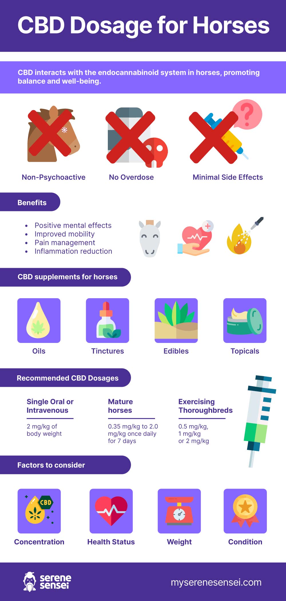 CBD Dosage for Horses