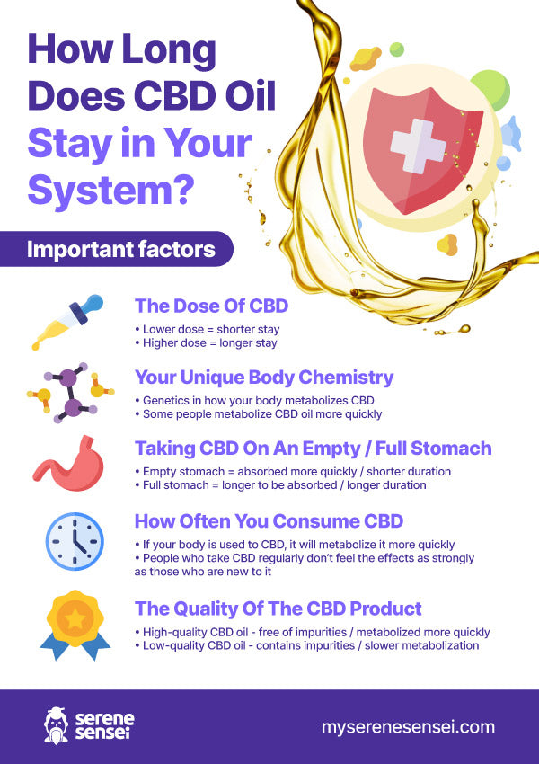 How Long Does CBD Oil Stay in Your System