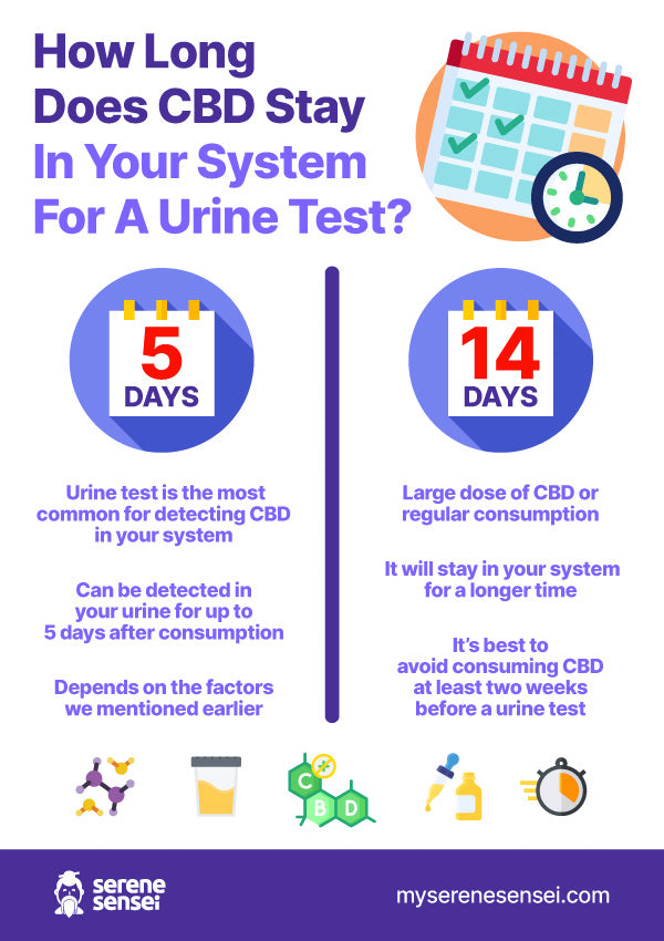 How Long Does CBD Stay In Your System For A Urine Test