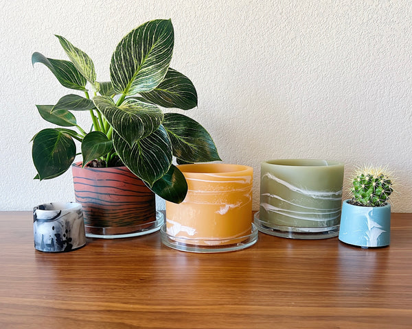 colorful plant pots