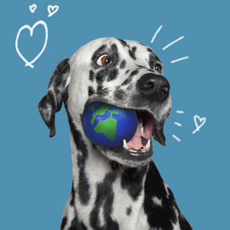 Dog Globe Mouth Blue background script.png__PID:08cf4bda-1f6f-46d6-a4ca-cf4132c2ba00