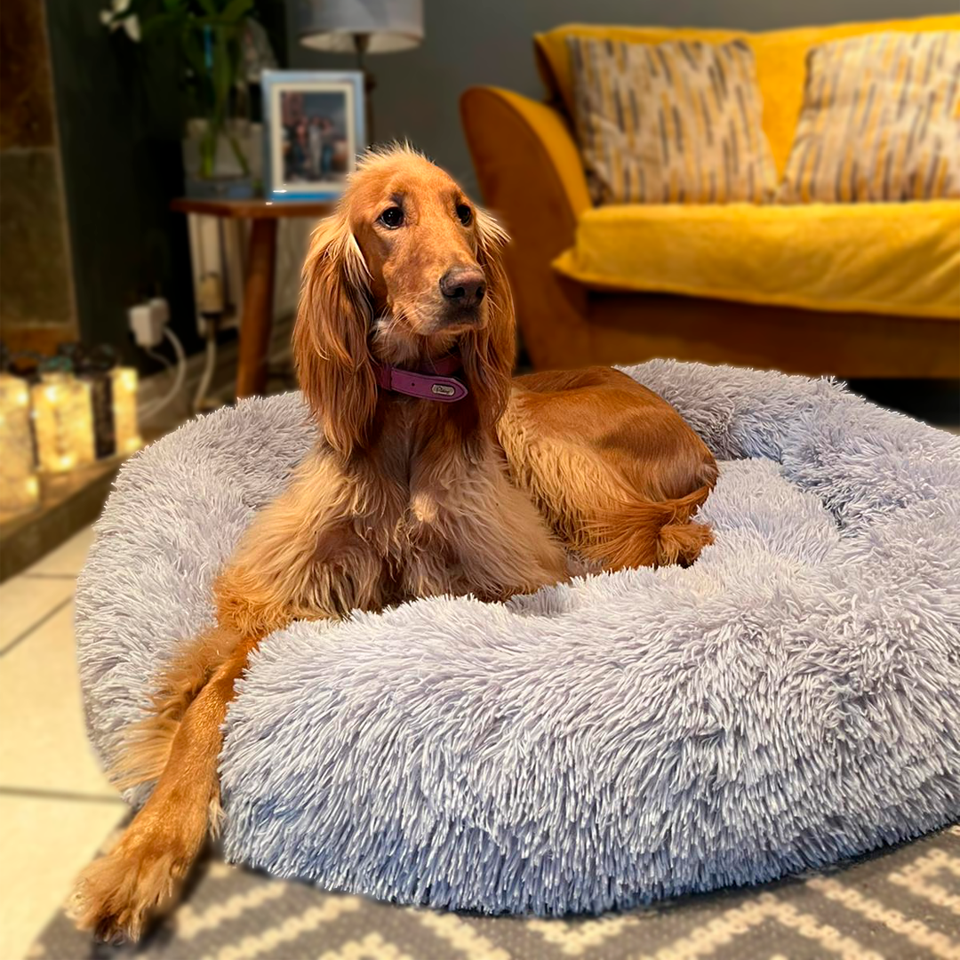 Husky Grey Calming Donut Bed - OH HECK dogs product image