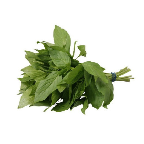 FRESH Hot Thai Basil 50g