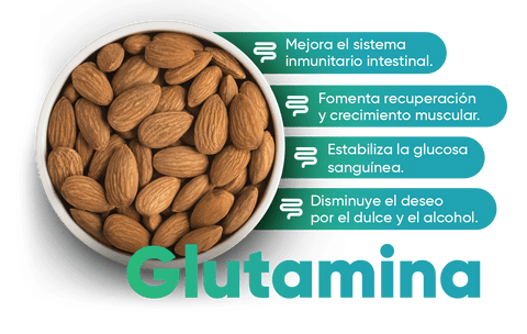 Beneficios  de la Glutamina