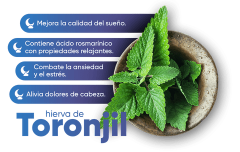 Beneficios del Toronjil