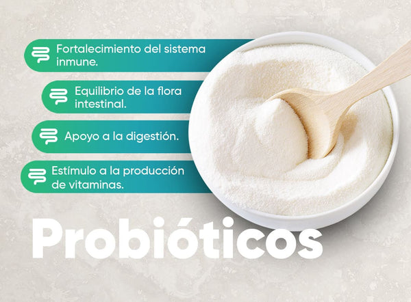 ¿Qué son los probióticos?
