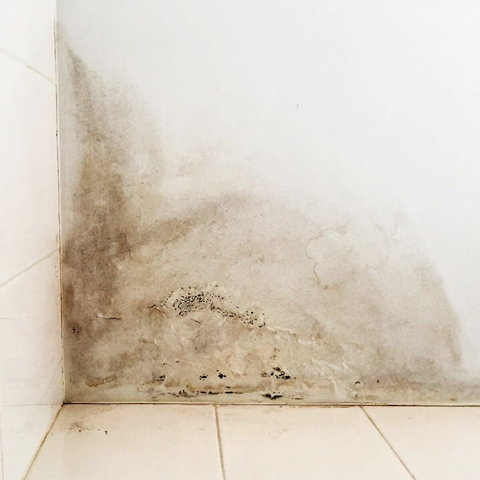 How to Overcome Damp walls