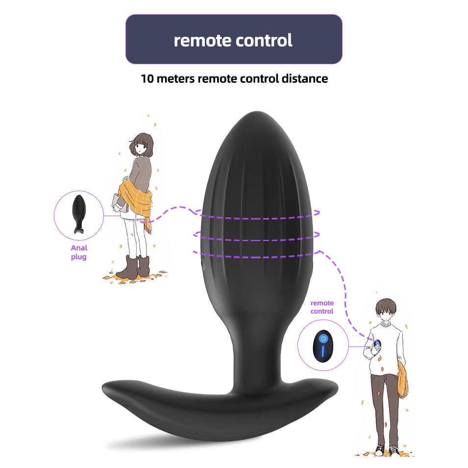 remote control anal plug (10)