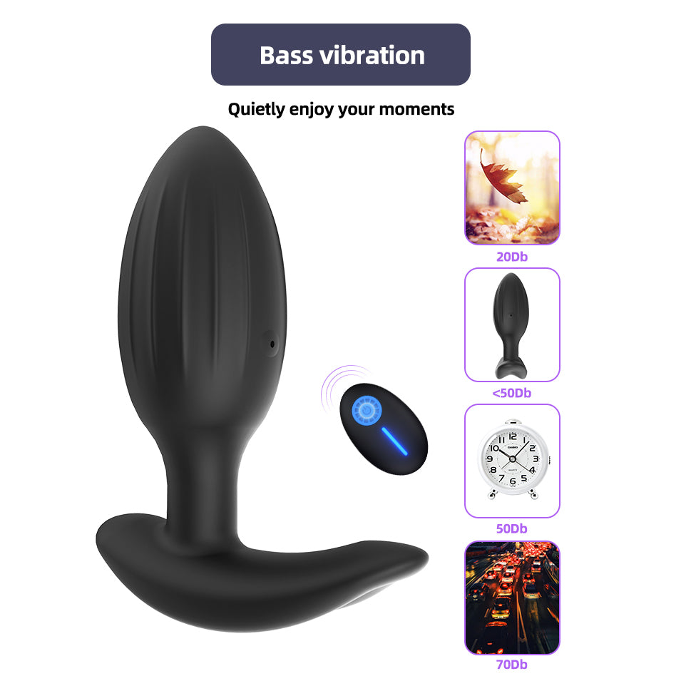 remote control anal plug (6)