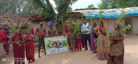 One Tree Planted - Planting Trees in India