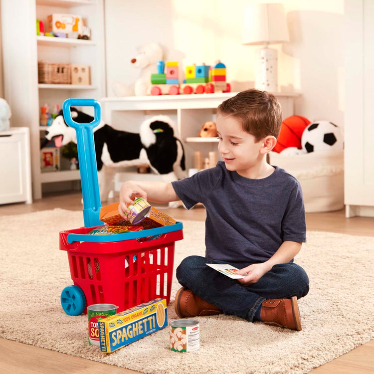 https://cdn.shopify.com/s/files/1/0550/8487/5830/products/Rolling-Grocery-Basket-004073-1-Kid-Lifestyle_750x.jpg?v=1664896160