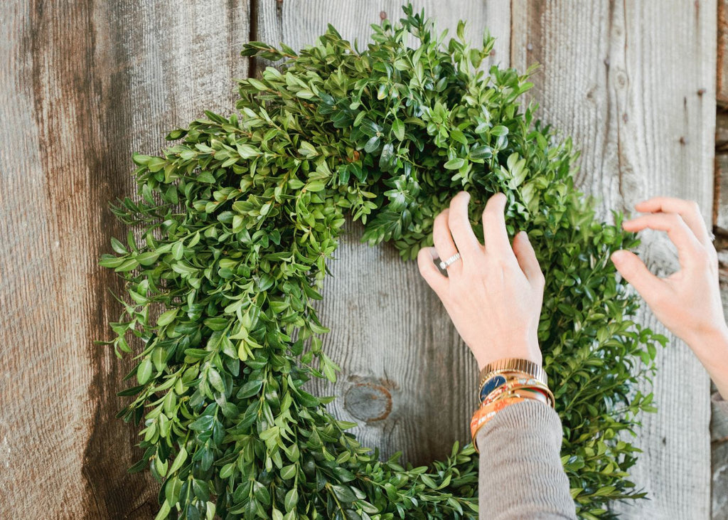 Boxwood Holiday Wreath