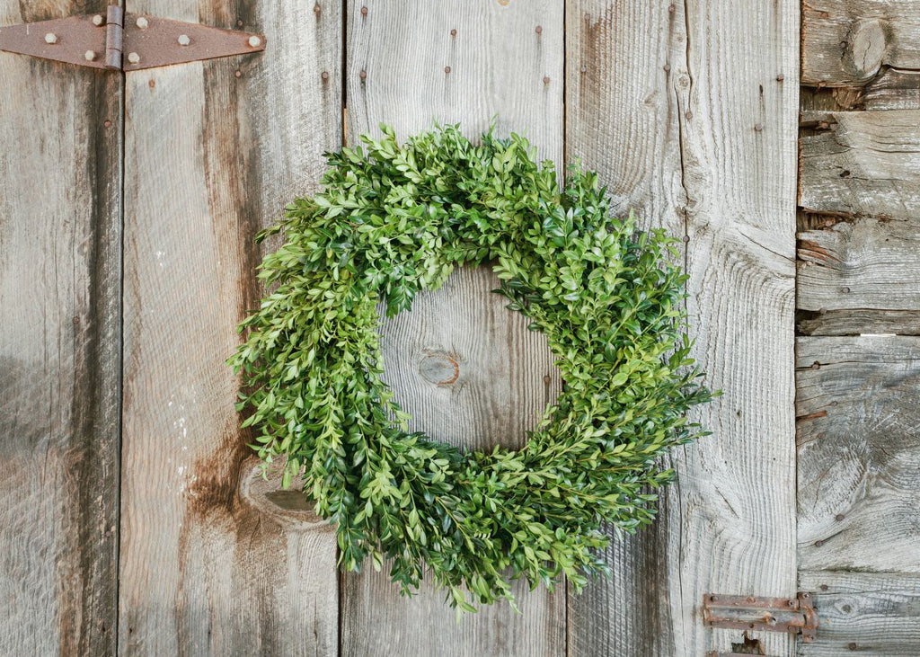 Classic Boxwood Holiday Wreath