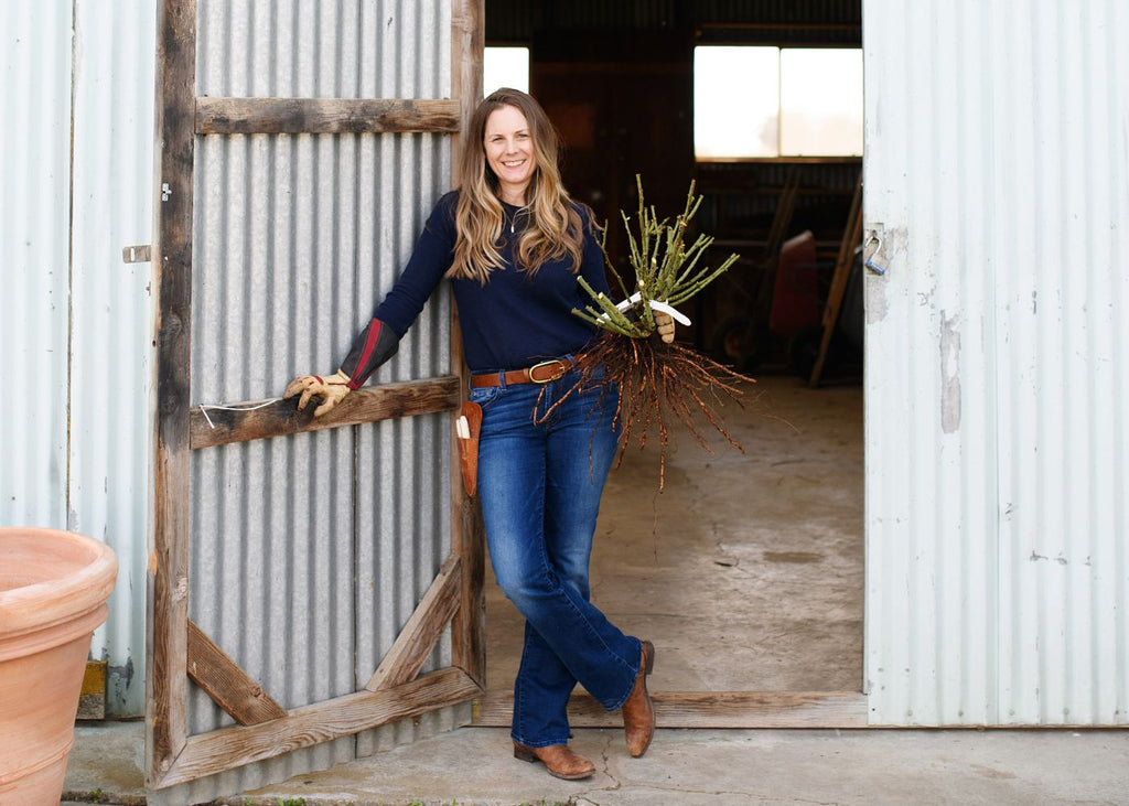 Woman holding a bare root rose.