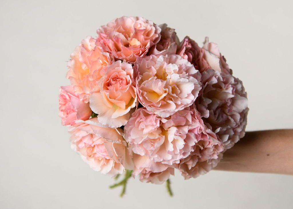 Light Pink Garden Rose Bouquet