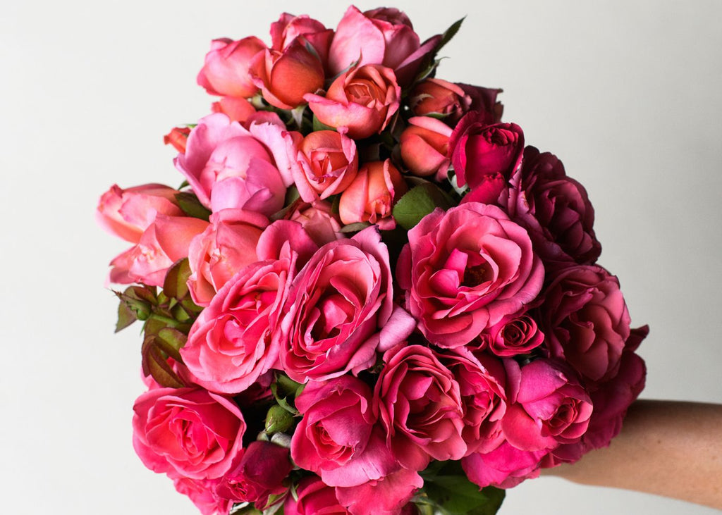 Deep Pink Color Family Rose Bouquet